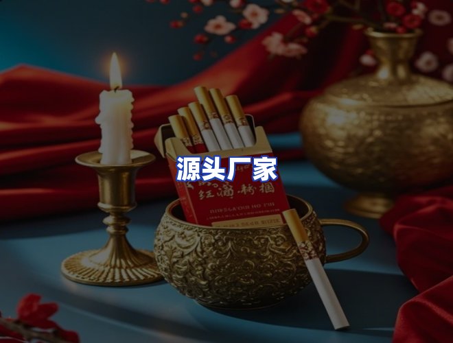 专业团队